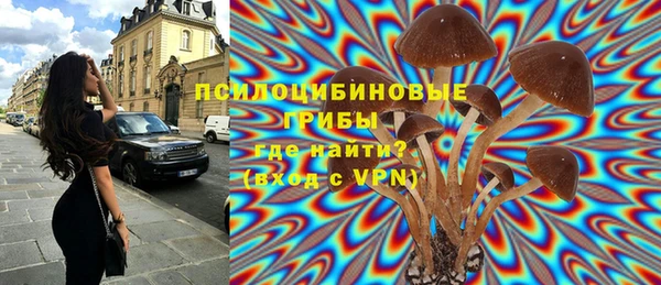 прущая мука Аркадак