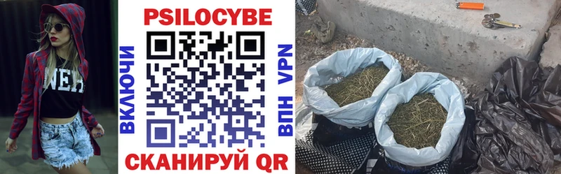 Галлюциногенные грибы мицелий  наркотики  Циолковский 